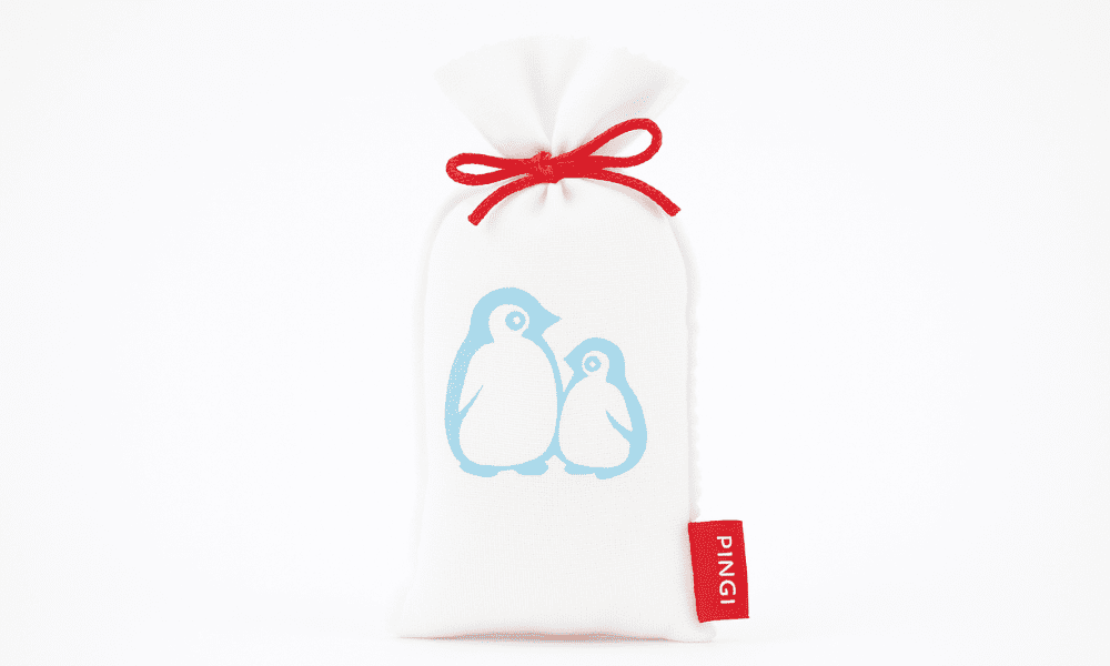 ABSORBEUR D'HUMIDITE PINGI LV-450 – Image 2